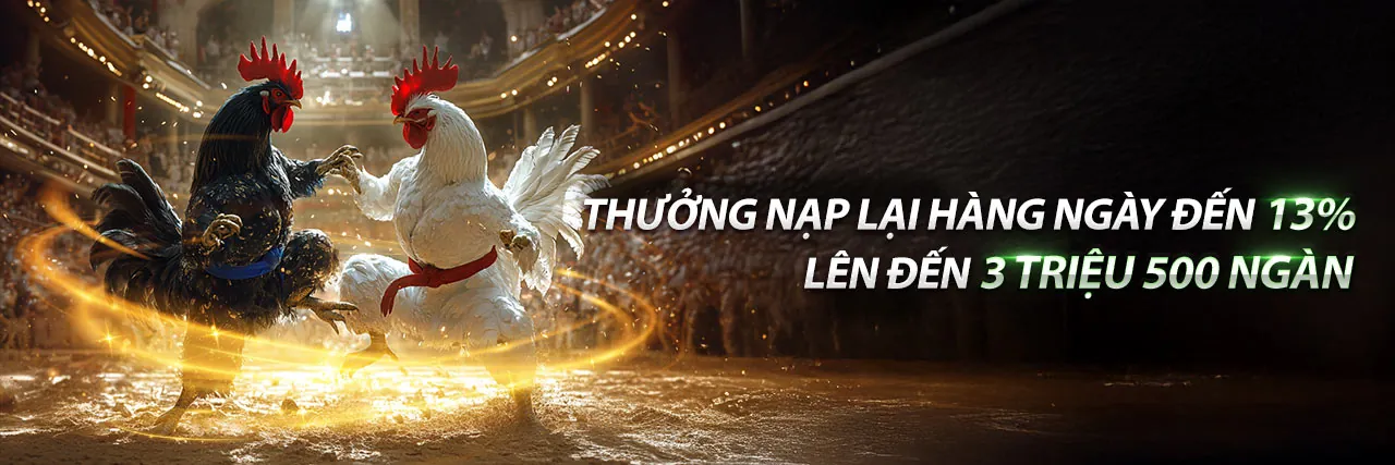 Đá Gà Trực Tuyến 77win9 - Sân Chơi Kịch Tính 2026