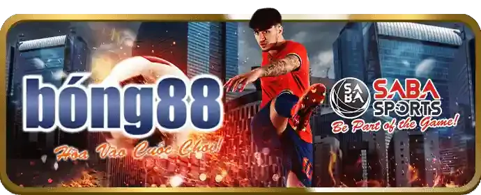 Quan Sát và Nắm Bắt Thời Cơ
